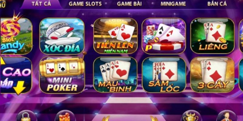 Giới thiệu VIP79 cùng định hướng hoạt động chi tiết